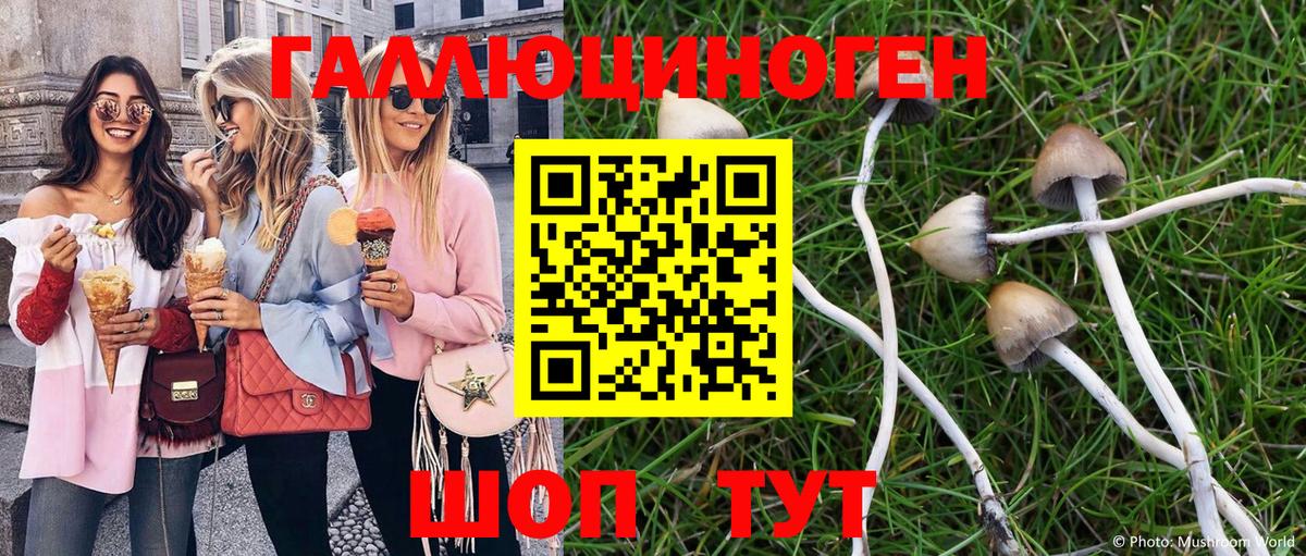 Псилоцибиновые грибы мицелий  Вход с VPN  как найти   Еманжелинск 